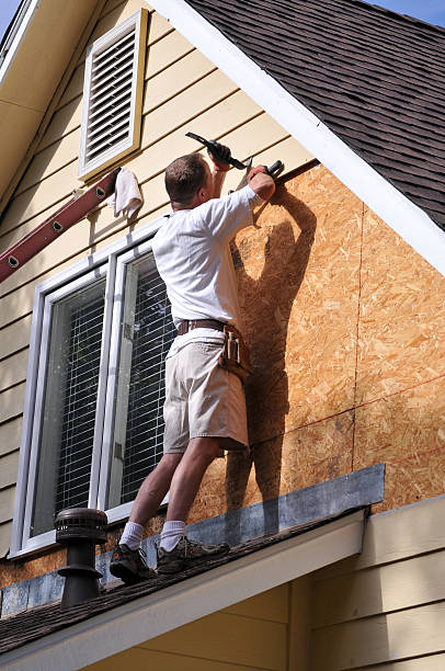 Best Historical Building Siding Restoration  in Waverly, MI